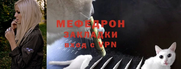 крисы Богородицк