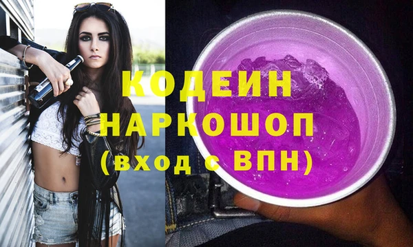 крисы Богородицк