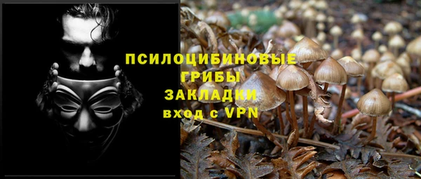 скорость Богданович